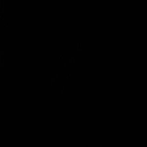 Meet your Posher, Trung